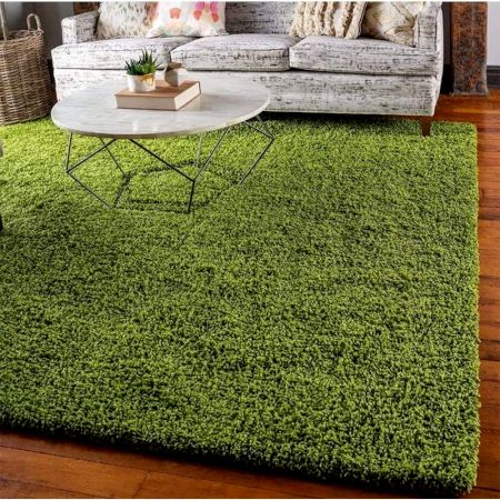 Soft Green Shaggy Hall Rug